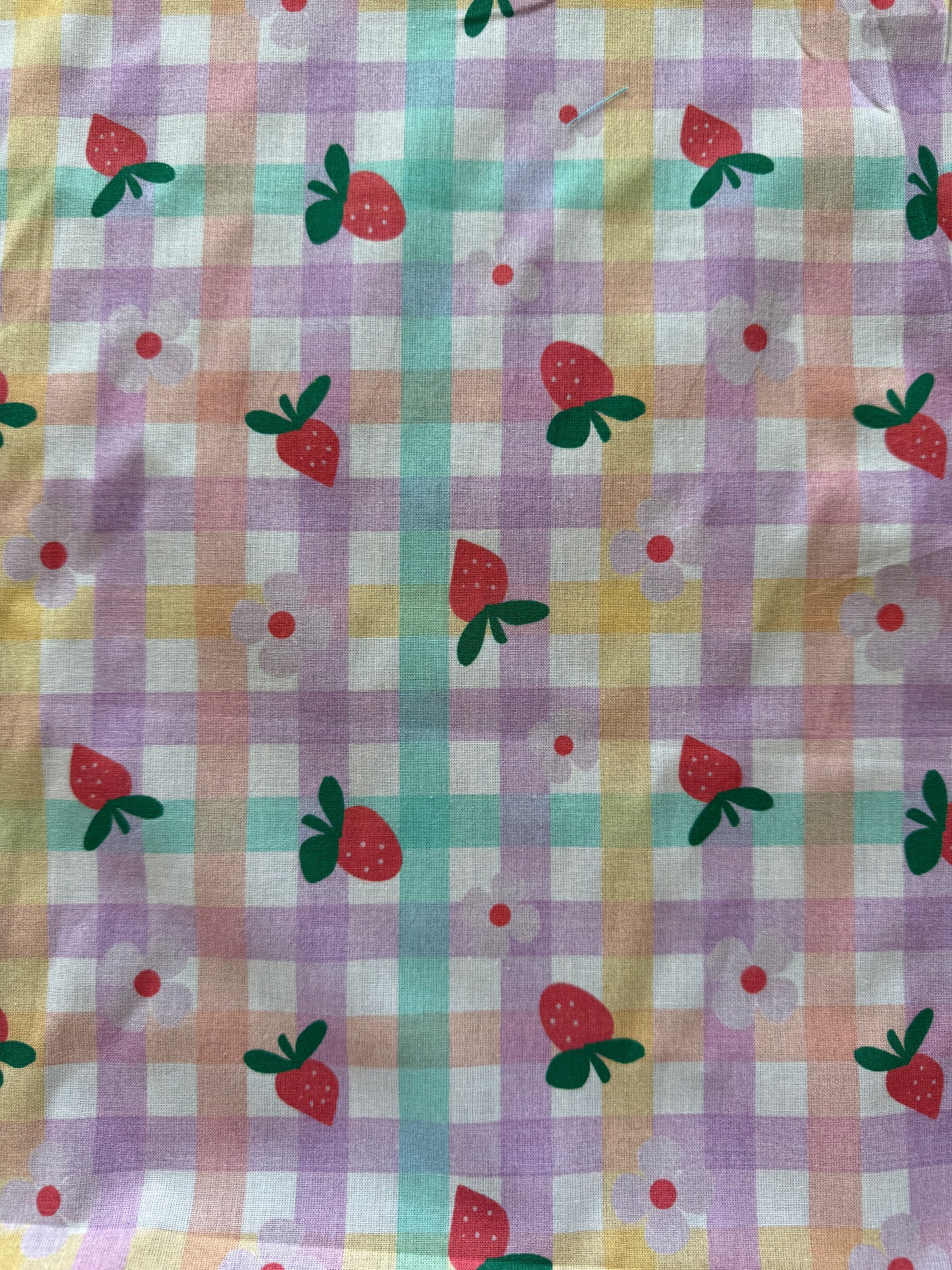 Little Johnny Strawberry Gingham Digital Printed