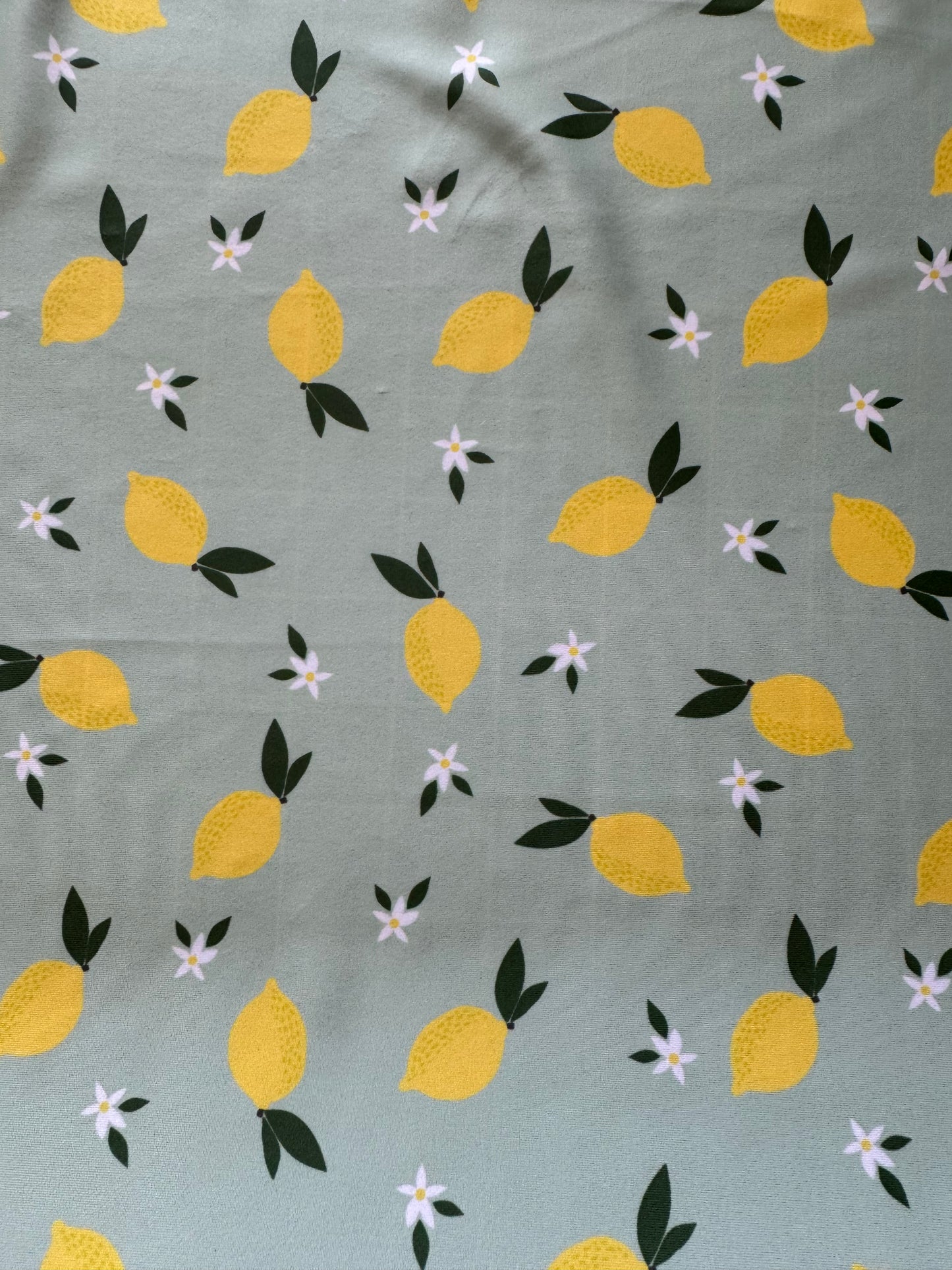 Recycled Swim Lycra Lemons