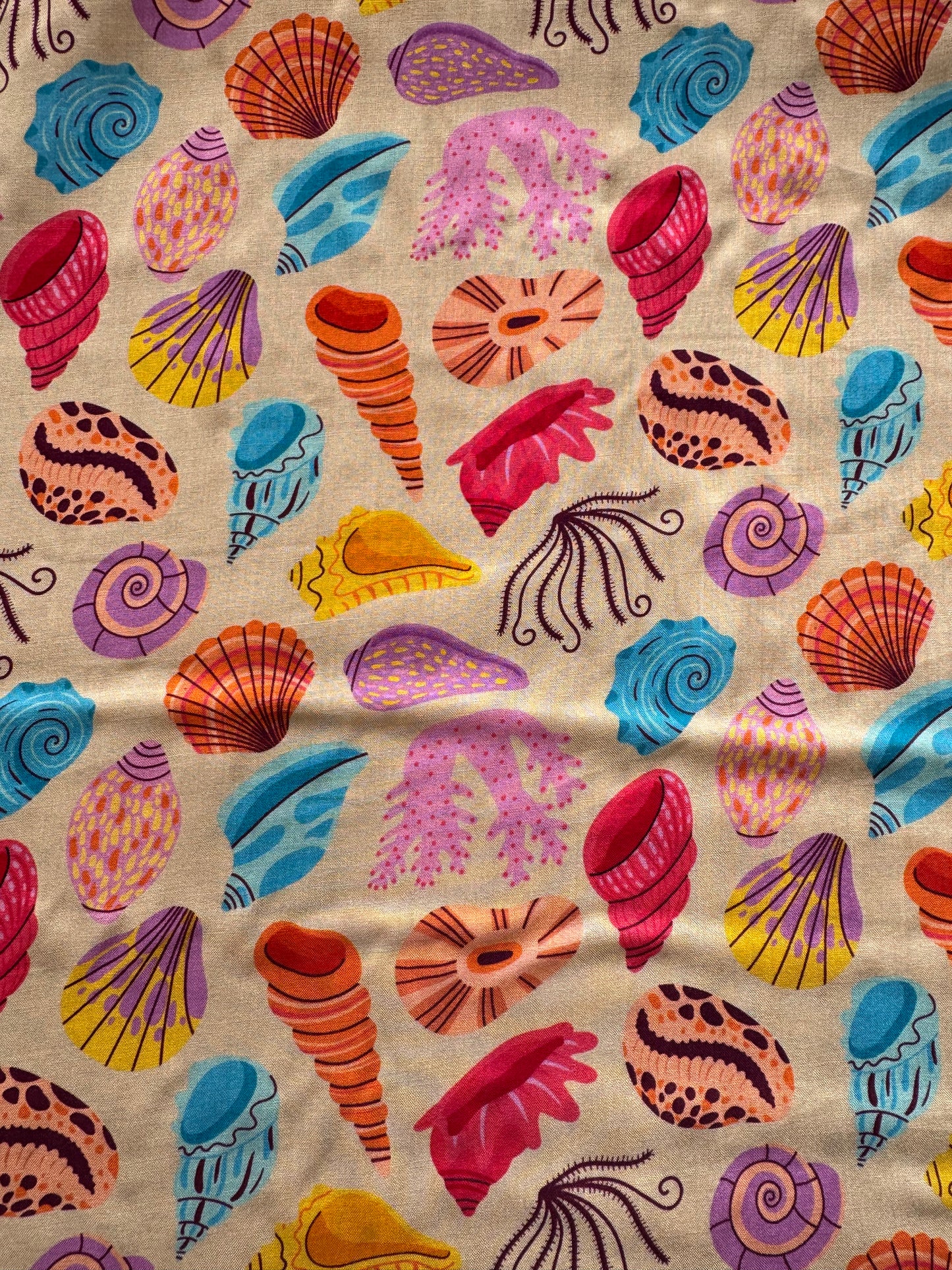 Little Johnny Seaside Treasures