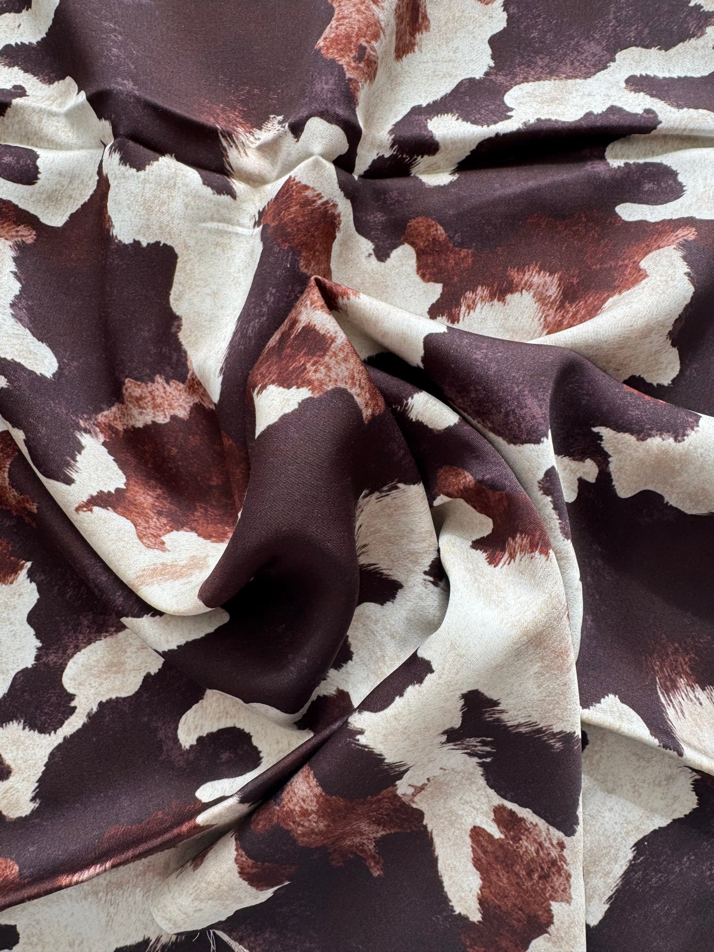 Little Johnny Cowtown